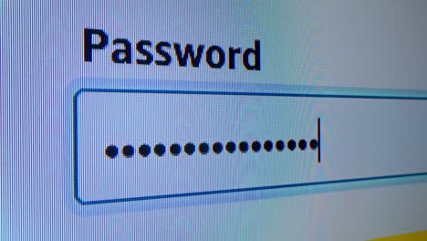 password input field on computer screen