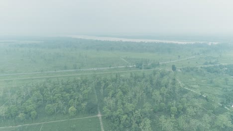 aerial dolly backwards flight of green nature landscape,on foggy day