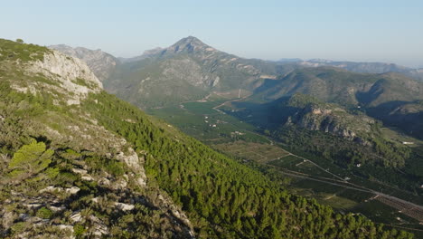 mountain valley with orchards and vineyards