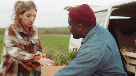 black farmer giving vegetables in paper bag to female customers