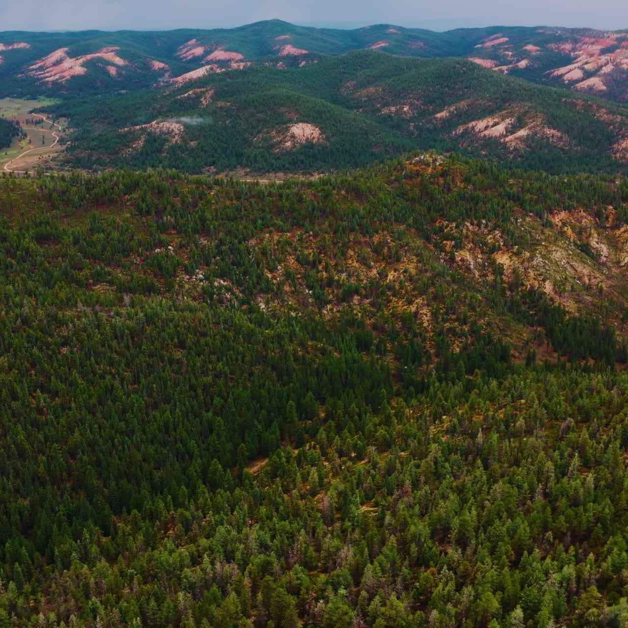 Abundant rocky landscape covered with pine trees. Beautiful scenic view of Utah canyons at daytime. Aerial perspective