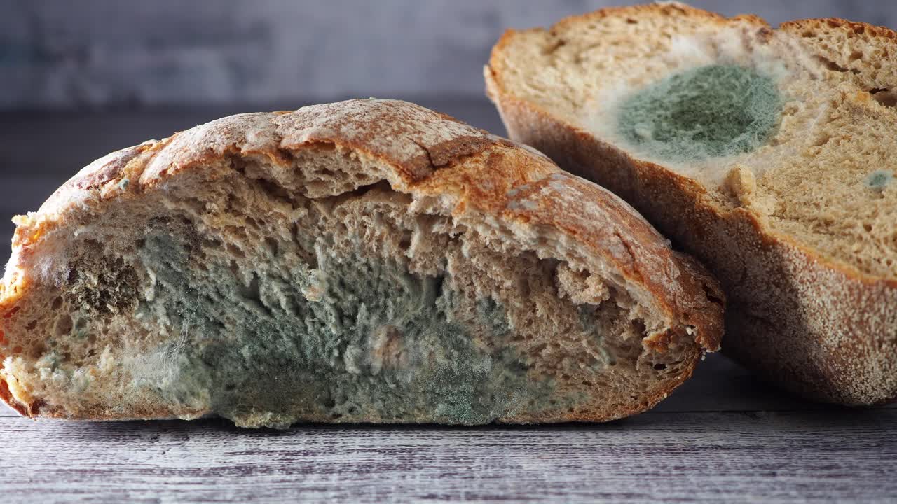 Primo piano di pane avariato ricoperto di muffa verde
