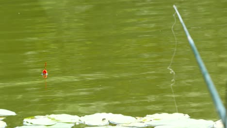 fishing pole, bobber floating in lake