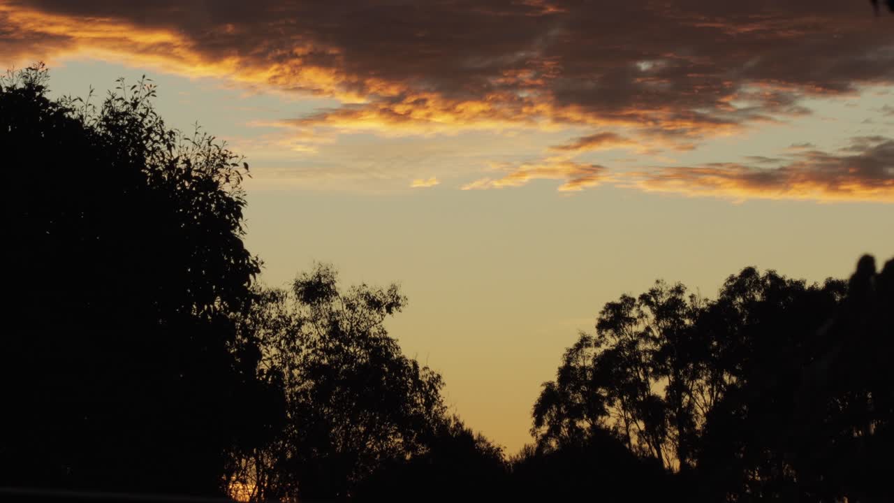 puesta de sol australiana con árboles de goma y nubes durante la hora dorada, el pájaro pasa volando, maffra, victoria, australia