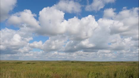 vast grassland under a cloudy sky