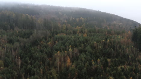 forward aerial of autumn forest on hill on cloudy day, central europe