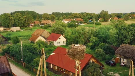 stork socket on the electric pole