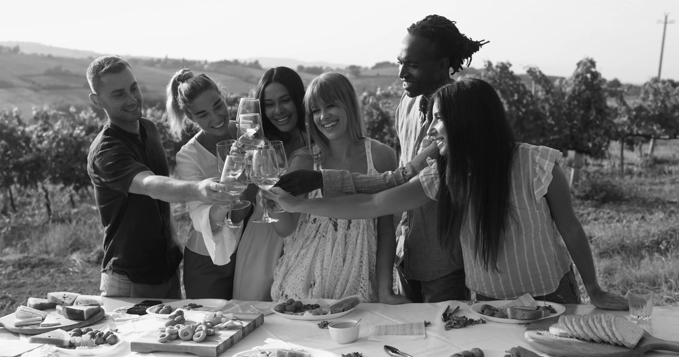 Group of Friends Toasting and Drinking Wine at an Outdoor Vineyard Picnic