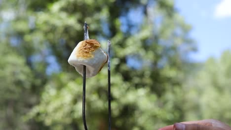 shot of someone pulling a gooey golden brown marshmallow off of a metal skewer to make s'mores