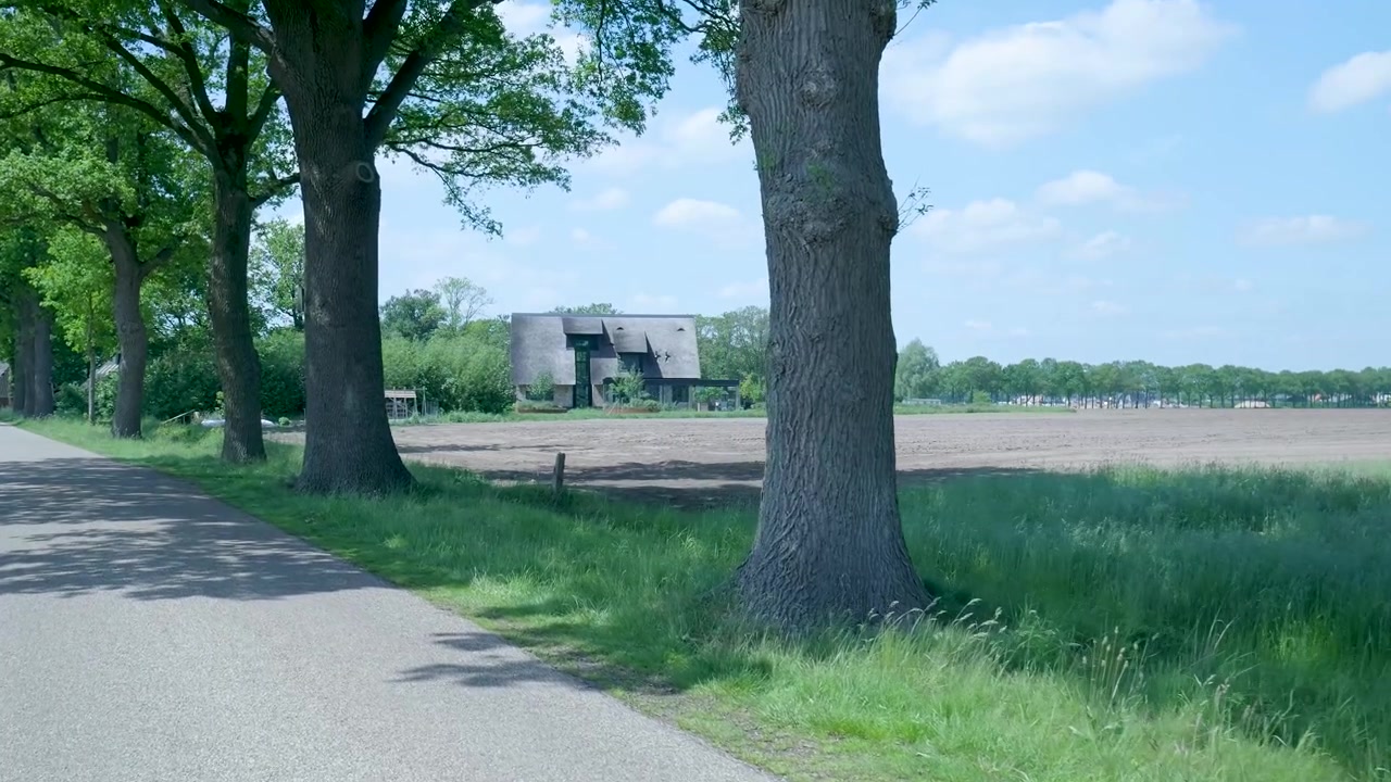 Malerische Landstraße mit Bäumen und Bauernhaus in der Ferne