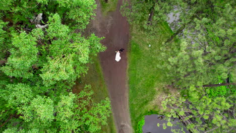 hd aerial drone shot of bride and groom walking down path holding hands surrounded by alpine forest tree landscape during summer day
