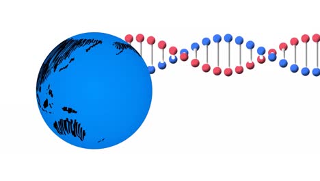 Animation-of-dna-strand-and-globe-on-white-background