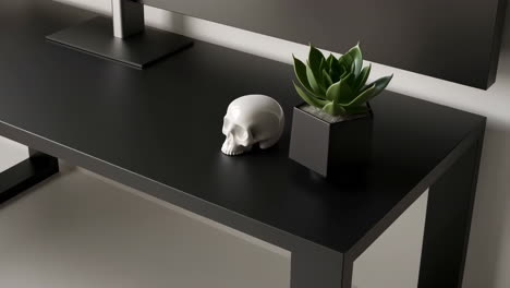 minimalist desk decor with skull and succulent