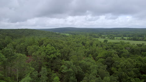 Antena-Con-Panorámica-Lenta-Sobre-El-Hermoso-Paisaje-Del-Sur-De-Missouri-En-Un-Día-Nublado-De-Verano