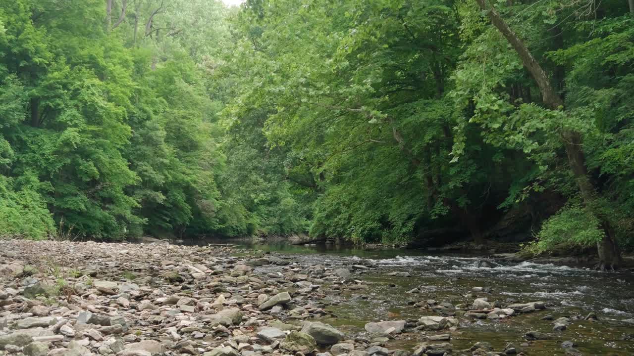 위샤이콘 크릭의 돌 위로 물이 흐르고, 배경에는 나무가 있습니다.