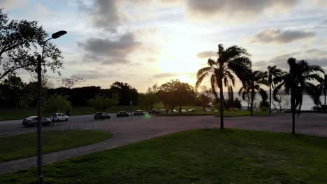 Video-Aéreo-Moviéndose-Directamente-A-Través-Del-Parque-Entre-Una-Palmera-Hacia-El-Horizonte-Con-El-Mar-Al-Atardecer