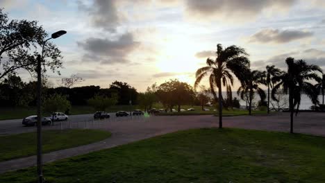 video aéreo moviéndose directamente a través del parque entre una palmera hacia el horizonte con el mar al atardecer