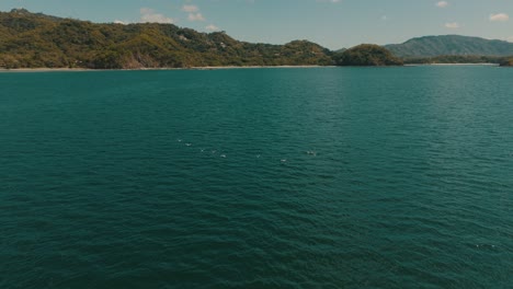 Bandada-De-Pájaros-Salvajes-Volando-Sobre-La-Playa-Turquesa-En-Guanacaste,-Costa-Rica