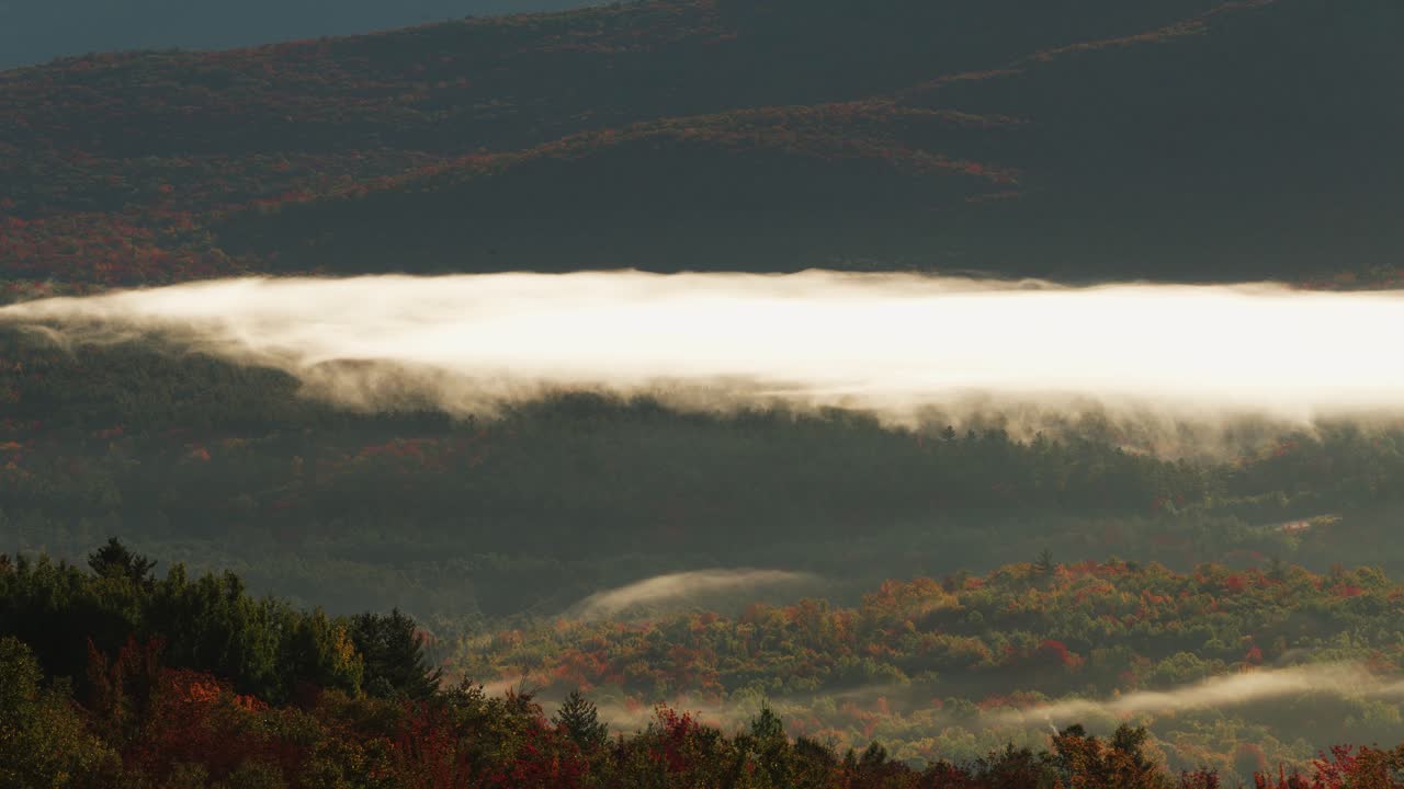 la niebla matutina brilla de amarillo mientras rueda a través de los bosques de follaje de otoño.