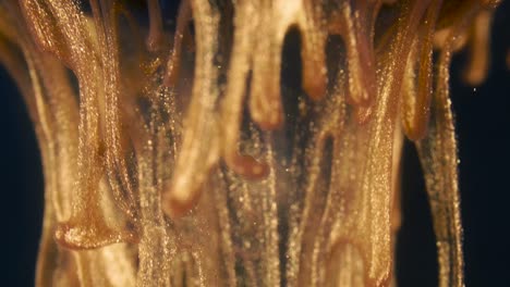 las partículas de tinta dorada fluyen en el agua como un caos colorido en el fondo negro