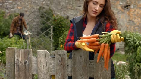 pretty young woman looking at carrots