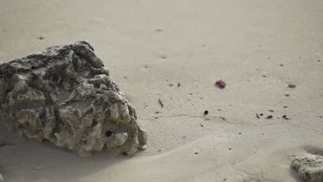 Etablierte-Meereswellen-Brechen-In-Den-Felsen-Am-Tropischen-Sandstrand