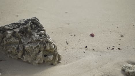 las olas del océano se estrellaron contra la roca en la playa tropical de arena.