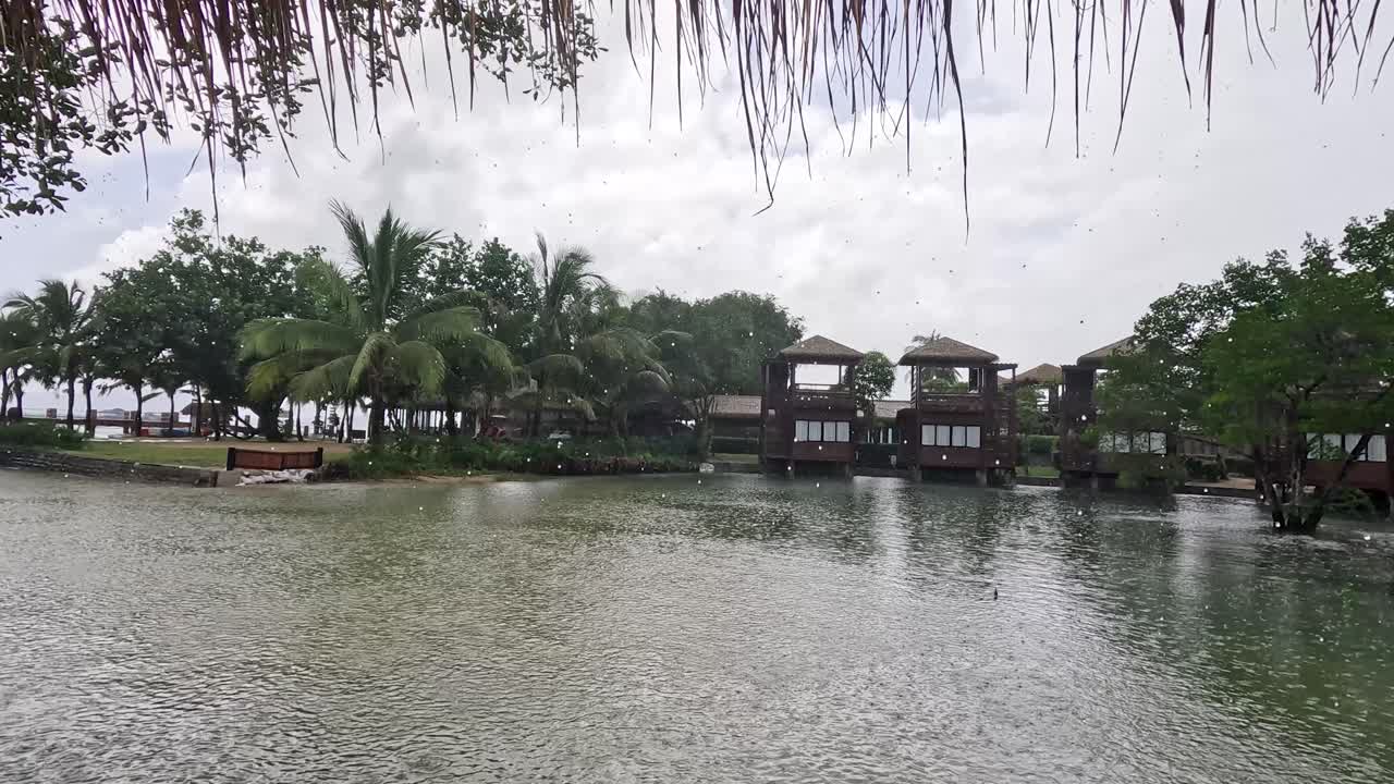 A steady rain falls over wooden overwater bungalows surrounded by lush mangrove trees and calm lagoon waters, captured with smooth panning camera movement and soft natural daylight