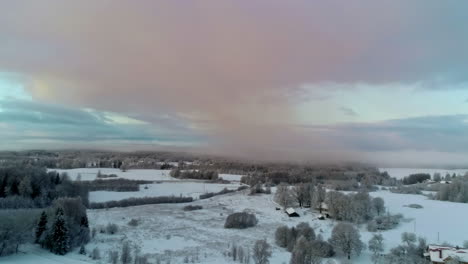 snow on ground in latvia landscape after a winter blizzard