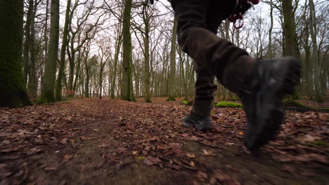 medium following shot of man's boots walking through forest in winter with his pet dog running free