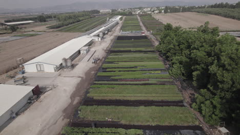 Aerial-view-of-a-tractor-driving-near-fields-of-green-plants-in-a-kibbutz-in-northern-Israel-during-the-summer,-mountains-in-the-background,-parallax-to-the-right-1