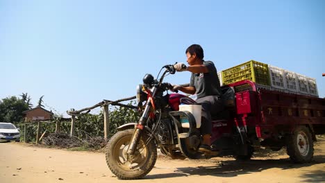 farmers transporting freshly harvested kiwi fruits inside the farm in shaanxi province, china, showcasing traditional methods of handling and moving produce during the harvest season.