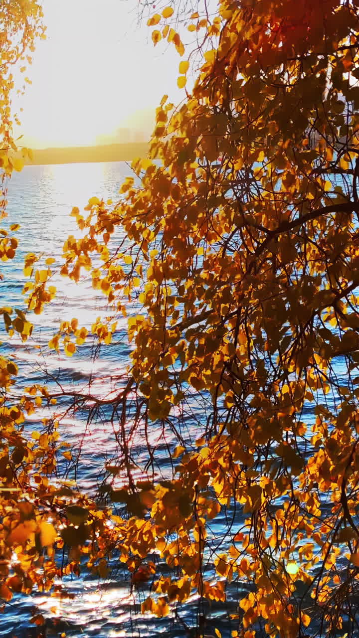 호수 위 에 가을 의 해 가 지는 것