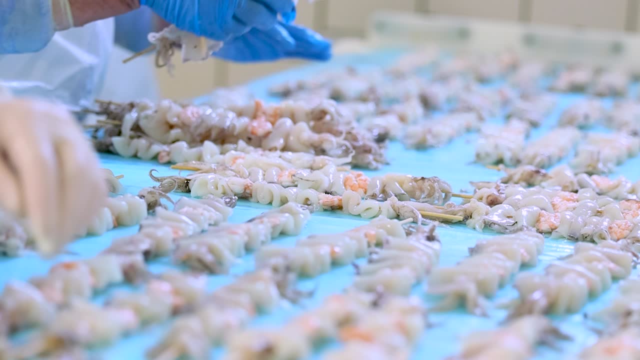 Workers arrange and place skewers of squid onto blue conveyor belt for freezing