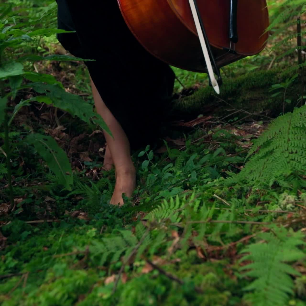Woman walking with cello