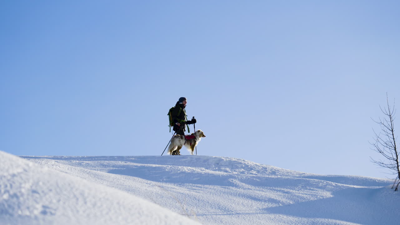 Hiker and dog on a snowy mountain