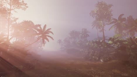 Sunset-Beams-through-Palm-Trees