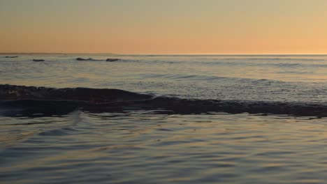 calm sea during a sunset