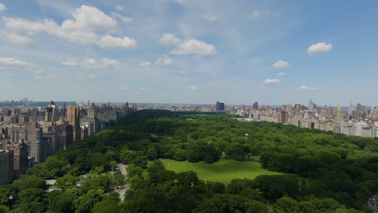 드론 플라이오버 여름 컬러 센트럴 파크, 빛 맨해튼, 뉴욕, 미국