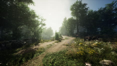 a serene forest path illuminated by gentle sunlight during early morning hours