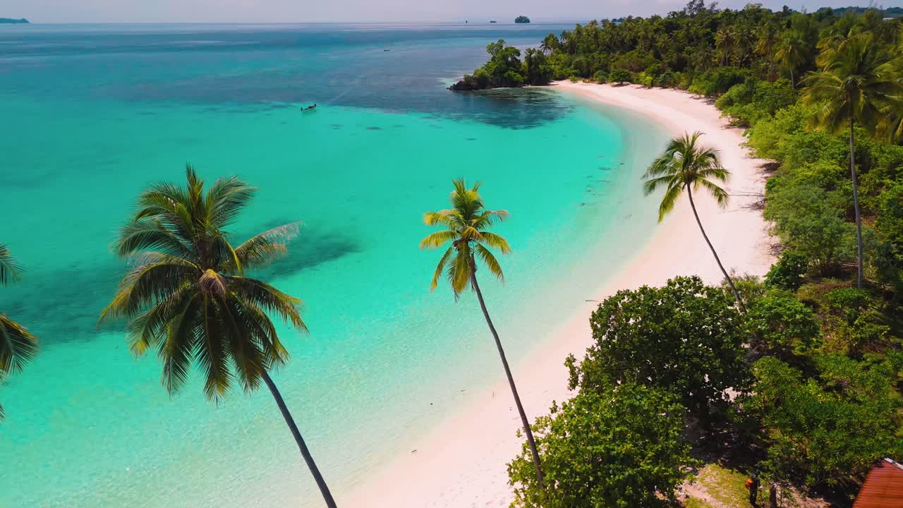 palme su una spiaggia di sabbia bianca nelle isole Banggai, Sulawesi