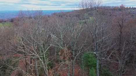 Pasando-Del-Nivel-De-Los-Ojos-Al-Nivel-Del-Cielo-En-El-Campo-De-Golf-Glassy-Cliffs,-Landrum,-Carolina-Del-Sur,-Revelación-Cinematográfica-Desde-Los-árboles