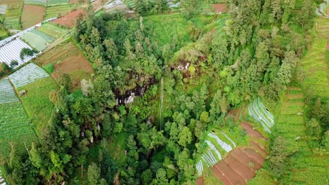 Toma-De-Drones-De-Una-Cascada-Escondida-En-Un-Acantilado-De-Montaña-Rodeado-De-árboles-Y-Plantaciones