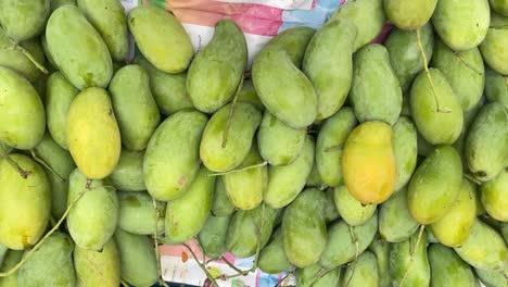 freshly harvested mangos at the market