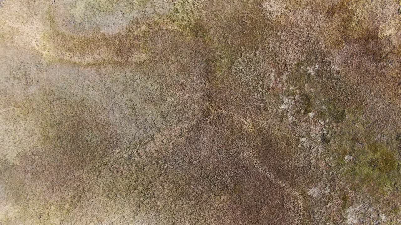 disparo descendente de la llanura rocosa con caminos de tierra, el avión no tripulado baja y hace un primer plano en el lago tahoe, sierra nevada, california