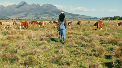 farm, cattle and woman walk with cows