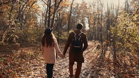 couple walking in autumn forest