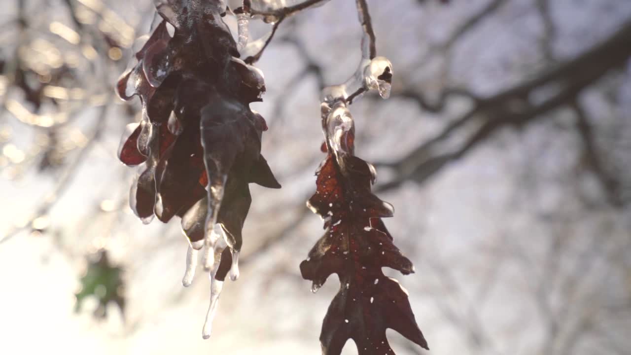 A cold January morning along with some winter precipitation and a bright sunrise make for some interesting details.
