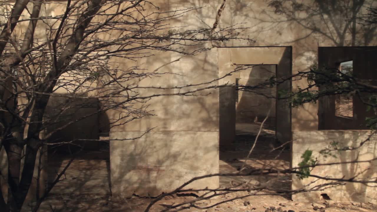 Abandoned building ruins with tree shadows
