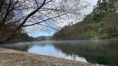 calm river surrounded by nature in proença a nova, portugal